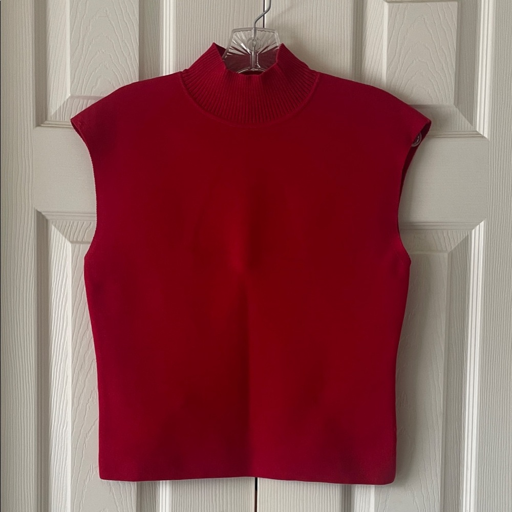 Express Red Cowl Neck Sweater